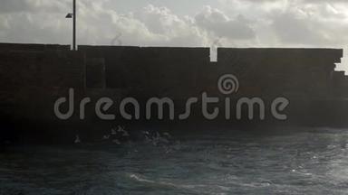 有海鸥、波浪海和古城墙的<strong>水景</strong>